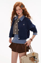 Brown velvet short skirt