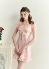 Butterfly Lace Chinese Style Mini Dress